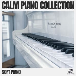 Calm Piano Collection - Soft Piano