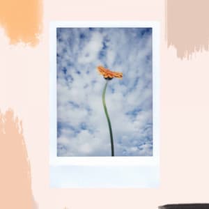 Music for Refreshing Sundays - Dinner Party Music Chill Out