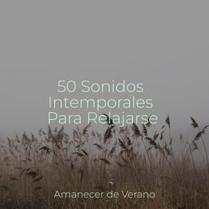 50 Sonidos Intemporales Para Relajarse - Sonidos de la Naturaleza Relajacion