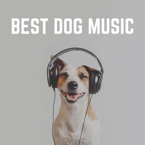 Best Dog Music - Music for Calming Dogs