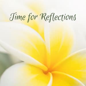 Time for Reflections - The White Noise Zen & Meditation Sound Lab