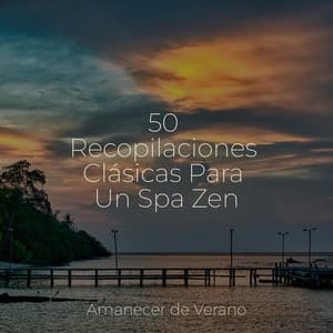 50 Recopilaciones Clásicas Para Un Spa Zen - Saludo al Sol Sonido Relajante