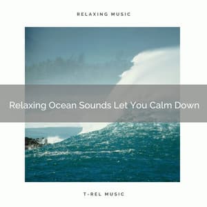 Relaxing Ocean Sounds Let You Calm Down - Relaxing Water Sounds