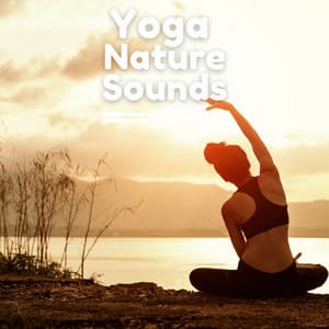 Green Yoga Sounds - Yoga Nature Sounds