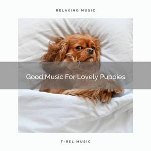 Good Music For Lovely Puppies - Sleepy Pets