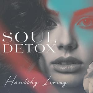 Soul Detox: Healthy Living - Meditation Awareness
