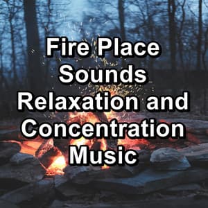 Fire Place Sounds Relaxation and Concentration Music - Baby Sleep Music