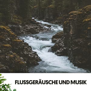 Flussgeräusche und Musik: Harmonien des fließenden Stroms - Dog Relaxation