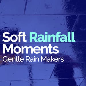 Soft Rainfall Moments - Gentle Rain Makers