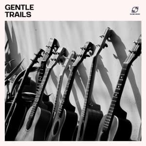 Gentle Trails - Easy Listening Guitar Music