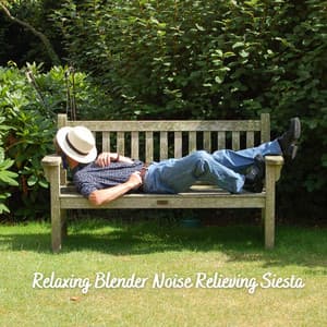 Relaxing Blender Noise Relieving Siesta - Sleep Magic
