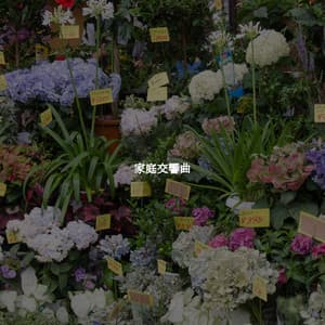 家庭交響曲 - Coffee Lounge Jazz Band Chill Out