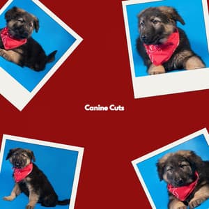 Canine Cuts - Coffeehouse Lounge