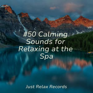 #50 Calming Sounds for Relaxing at the Spa - Healing Yoga Meditation Music Consort
