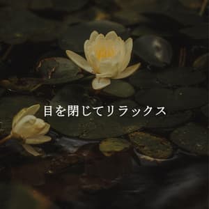 目を閉じてリラックス - Vancouver Jazz Band