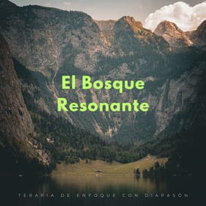 El Bosque Resonante: Terapia De Enfoque Con Diapasón - Sonidos naturales del bosque