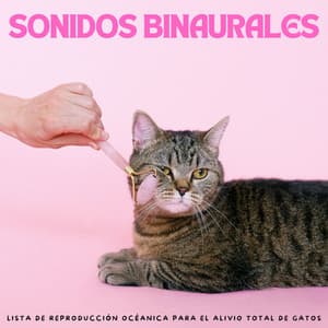 Sonidos Binaurales: Lista De Reproducción Océanica Para El Alivio Total De Gatos - Bob binaural