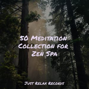 50 Meditation Collection for Zen Spa - Lounge relax