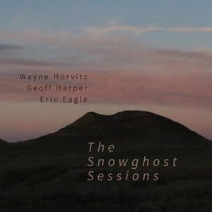 The Snowghost Sessions - Wayne Horvitz