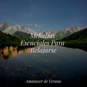 Melodías Esenciales Para Relajarse - kinderliedjes