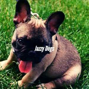 Jazzy Dogs - Jazz for Dogs
