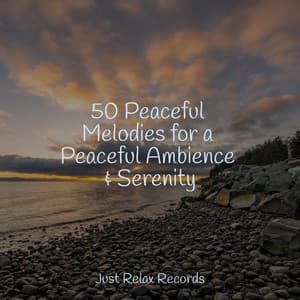 50 Peaceful Melodies for a Peaceful Ambience & Serenity - Sleep Music Lullabies