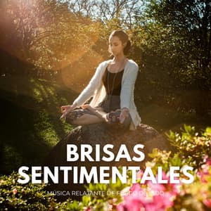 Brisas Sentimentales: Música Relajante De Fuego De Lujo - Los mejores sonidos de la naturaleza