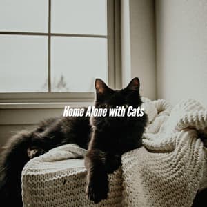 Home Alone with Cats - Good Morning Jazz Cafe