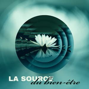 La source du bien-être: Découvrez le yoga tous les jours - Quotidien Yoga Musique Paradis
