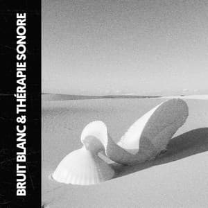 Bruit Blanc & Thérapie Sonore : L'Extase du Silence - Ruido Blanco Hart