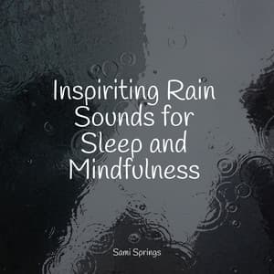 Inspiriting Rain Sounds for Sleep and Mindfulness - Ready Baby Music!