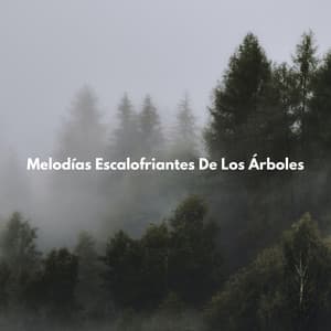 Melodías Escalofriantes De Los Árboles - Sonido Del Bosque y Naturaleza