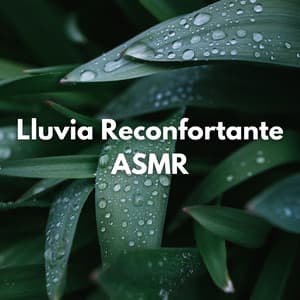 Lluvia Reconfortante ASMR - Don Lluvia