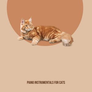 Piano Instrumentals For Cats - Relaxing Piano For Pets