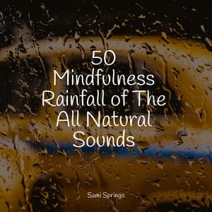 50 Mindfulness Rainfall of The All Natural Sounds - Deep Focus