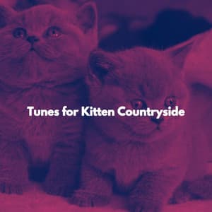 Tunes for Kitten Countryside - Jazz Music Lounge