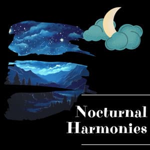 Nocturnal Harmonies - Night Sounds Channel