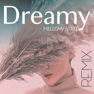 Dreamy Mellow State Remix - Elevation Of The Spirit