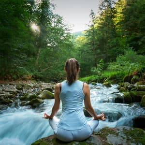 Retiro De Meditación: Música Para Una Claridad Mental Mejorada - Sintropía