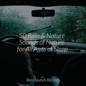 50 Rain & Nature Sounds of Nature for All Ages of Sleep - Meeresrauschen