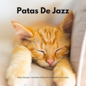 Patas De Jazz: Calmante Vibras De Cafetería Para Gatos - Días de cafetería