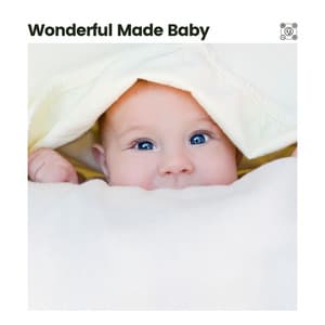 Wonderful Made Baby - Music Box Orchestra