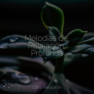 Melodías de Relajación Profunda - Sonido de lluvia