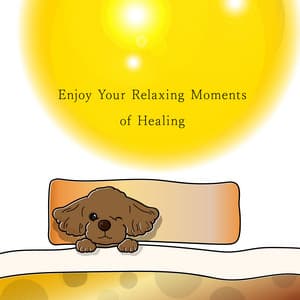 Enjoy Your Relaxing Moments of Healing - Animal Piano Lab