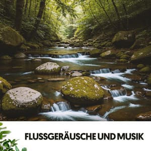 Flüsse und Bäche: Melodien des fließenden Stroms - Dog Relaxation