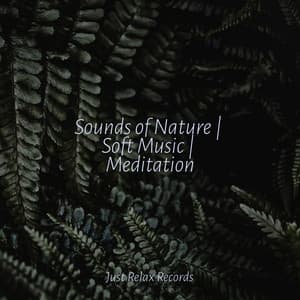 Sounds of Nature | Soft Music | Meditation - Naturaleza Sonidos