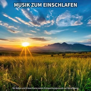 Musik zum Einschlafen für Babys und Erwachsene sowie Entspannungsmusik zur Beruhigung - Entspannungsmusik zum Einschlafen und Durchschlafen