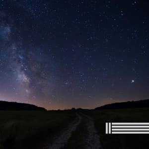 Quiet Night Sounds - Night Sounds