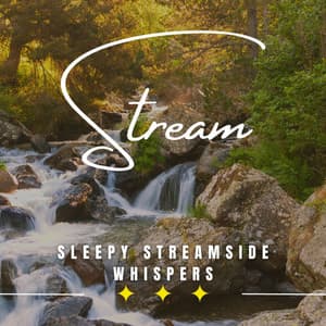Tranquil Streamside Slumber: Binaural Sleep by the Waterside - Sleepy Night Music