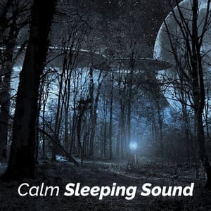 Calm Sleeping Sound - Binaural Sleep Collective